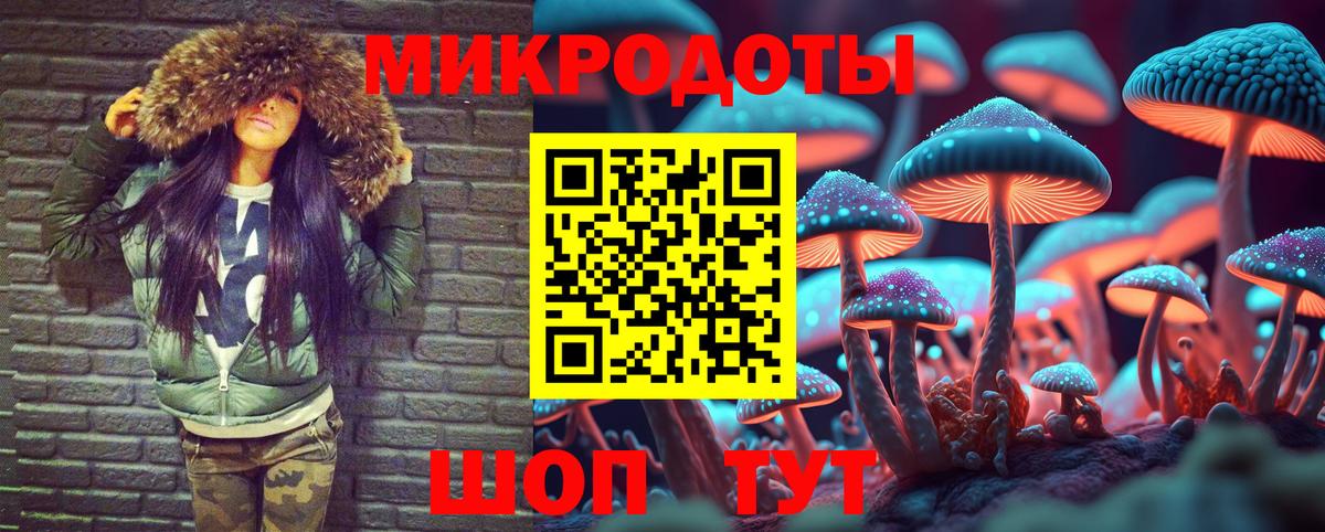 Галлюциногенные грибы Psilocybine cubensis Сыктывкар